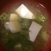 トロトロがおいしい オクラと豆腐の味噌汁