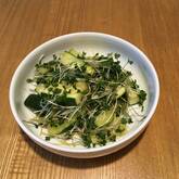 ズッキーニのショウガじょうゆ和え