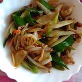 豚肉と白ネギの炒め物