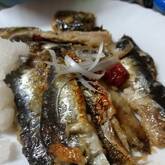 イワシの梅ショウガ煮