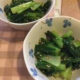 子どもにも人気！ごま油香る小松菜のナムル