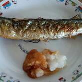 サンマの塩焼き