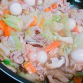 野菜たっぷり！定番の具だくさん中華丼