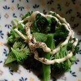 ブロッコリーのゴママヨ和え