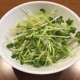 キャベツのユズ味サラダ