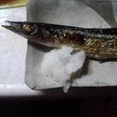 サンマの塩焼き