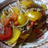 豚肉のマヨジンジャー炒め