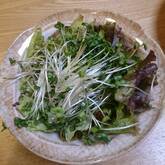 サニーレタスのシンプルサラダ