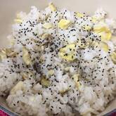 秋の定番！もち米入り栗ご飯
