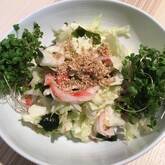 キャベツの酢の物風サラダ