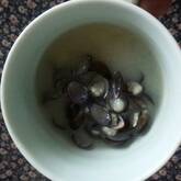 シジミのみそ汁