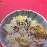 ほっくりおいしい 栗ご飯