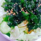 10分で絶品チョレギサラダ 食欲そそる定番の味 by近藤 瞳さん