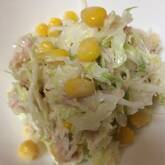 キャベツがおいしい！コールスロー by森岡 恵さん