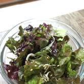 サニーレタスのサラダ