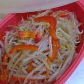 味付け黄金比で簡単！もやしのナムル お箸止まらない人気の常備菜