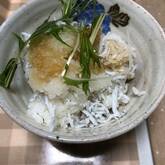 簡単にワンランク上の味！シラスおろし丼 by 池田 絵美さん