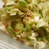 キャベツと桜エビのコールスロー