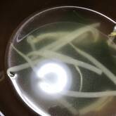 モヤシとワカメのスープ