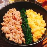 彩り鮮やか！簡単基本の三色丼 ご飯がすすむ 卵と鶏とキュウリで作る