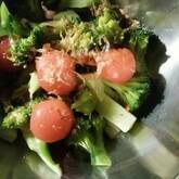 ブロッコリーのおひたし