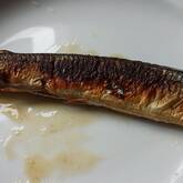 サンマのフライパン塩焼