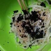 モヤシとキュウリの海苔和え