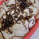 白菜と塩昆布のレンジ蒸し
