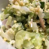 やみつき！春キャベツサラダの簡単レシピ by金丸 利恵さん