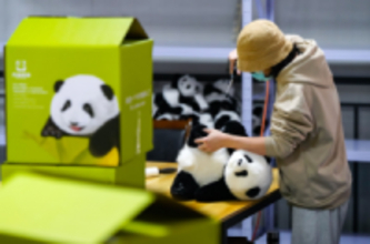 ぬいぐるみのパンダ「花花」、日米で売れ行き好調　四川省成都市
