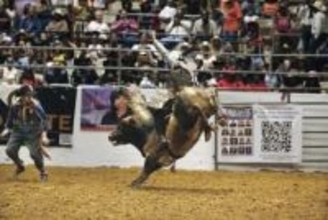 黒人カウボーイ、アメリカ史を掘り起こす　逆境の中で栄光をつかんだ１人の男がロデオ大会立ち上げ