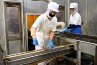 「外国人はもう日本を選ばなくなる」経営者たちが抱く深刻な懸念　ベトナム人実習生なしでは「成り立たない街」で見えたこと　【多文化共生企画】