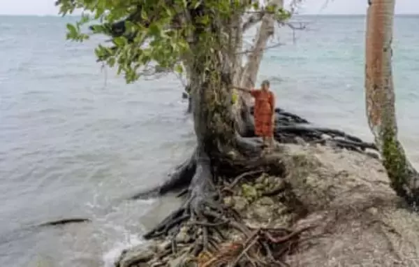 「でたらめはここに住んでから言え」太平洋の島国で住民は温暖化懐疑論に怒りをぶつけた　海面上昇が土地を削り、汚染土流出の懸念も…大国に振り回され続けるマーシャル諸島