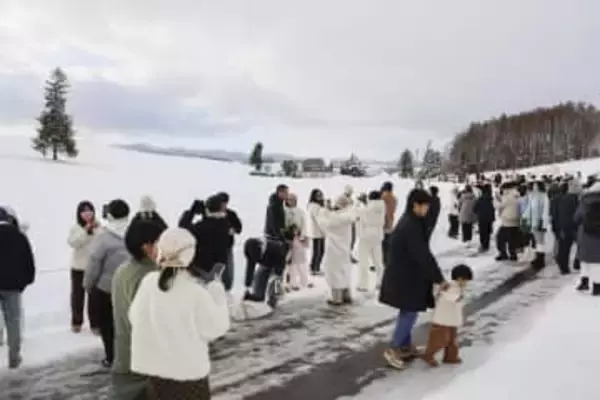 人気の並木は切り株に、押し寄せる観光客に「いたちごっこ」　山林火災で仮住まい今も、乾燥の冬ふたたび