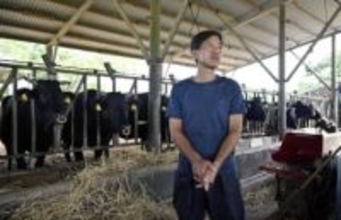 島外退避に不安、沖縄「有事に牛残せぬ」　「何度選挙をしても…」と能登半島の被災地、クマ被害の青森ではリンゴの在庫量が最少に【２０２６年衆院選】