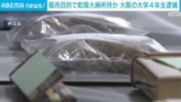 販売目的で乾燥大麻を所持か 大阪の大学4年生逮捕