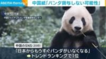 日中関係悪化で「日本からもうすぐパンダがいなくなる」 中国SNSでトレンド1位に