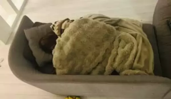 ココリコ遠藤の妻、インフルエンザでダウン「家事、子供たちの世話ぜーんぶやってくれた」