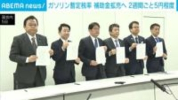 ガソリン暫定税率 補助金拡充へ 2週間ごと5円程度