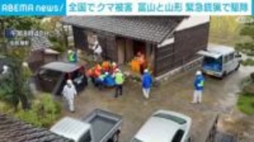 全国でクマ被害相次ぐ 富山・山形では「緊急銃猟」で駆除