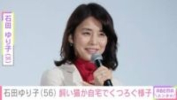 石田ゆり子（56）、飼い猫がくつろぐ生活感あふれる自宅に反響「ステキな空間だね」「フワフワの毛布の中が気持ちいいよね」