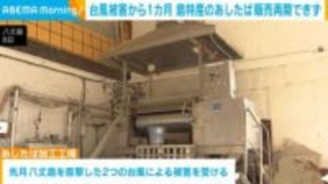 台風被害から1カ月 島特産のあしたば販売再開できず 八丈島