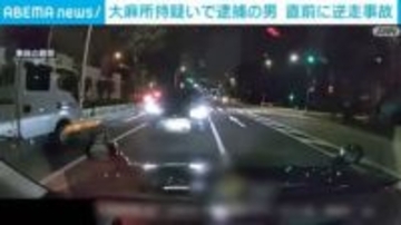 大麻所持疑いで逮捕の男 直前に逆走事故