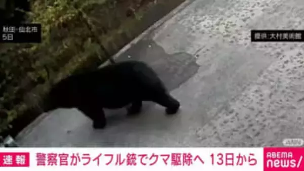 警察官がライフル銃でクマ駆除へ 13日から