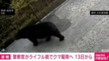 警察官がライフル銃でクマ駆除へ 13日から