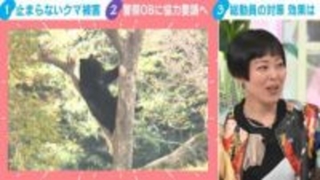クマ対策で警察OBに協力要請も…「人間の常識が通用しないクマに同じような実力を出せるかは別の話」「野生動物専門のレンジャー部隊を」北海道出身の漫画家・瀧波ユカリが指摘