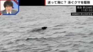 「14年間巡り会えたことはない」クマが海上で“想定外の行動”…ハンターも驚愕「パニックになって飛び込んだのではないか」
