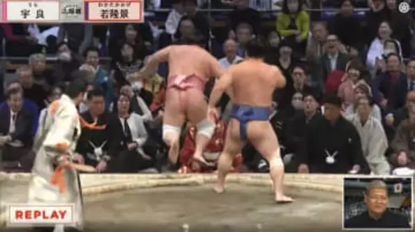 人気力士が「コロコロ転がって…」客席に一直線のハプニング 館内騒然も「これはご褒美」「おじさま方嬉しそう」安堵とほっこり