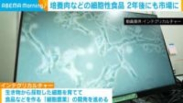培養肉などの細胞性食品 2年後にも市場に