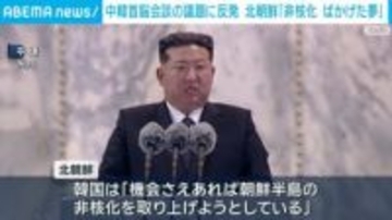 中韓首脳会談の議題に反発 北朝鮮「非核化 ばかげた夢」